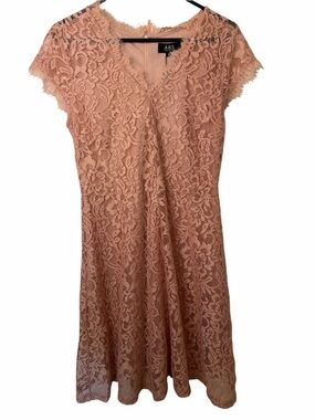 ABS Lace A-Line Dress in Blush Pink NWT